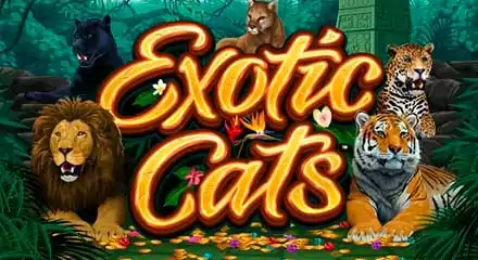 Tragaperras-slots - Exotic Cats