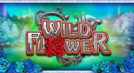 Tragaperras-slots - Wildflower